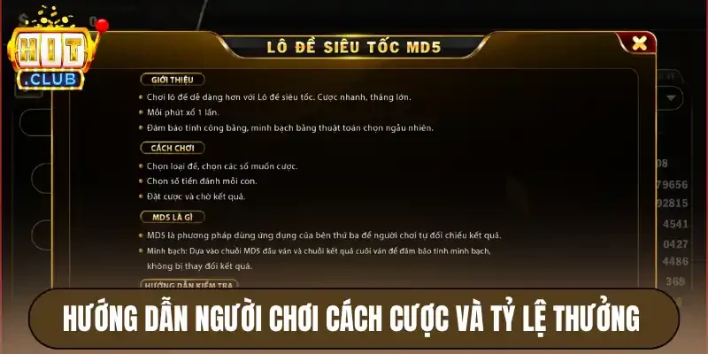 Lô Đề Siêu Tốc Hitclub - Nhận Thưởng Lớn Chỉ Trong 1 Phút 3 Hướng dẫn người chơi cách cược và tỷ lệ thưởng